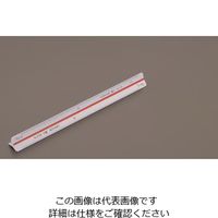 エスコ 15cm 三角スケール[縮小コピー用] EA736B-15 1セット(10本)（直送品）