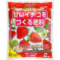 花ごころ 甘いイチゴをつくる肥料　2kg 4977445053808 1個（直送品）