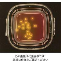 極東製薬工業 DDチェッカー（細菌検出用培地） MSEY寒天培地 黄色ブドウ球菌検出用 4241 1箱（100枚） 4-1250-03（直送品）