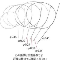 アズワン 超弾性ニッケルチタンワイヤー Φ0.30±0.01mm 4-1585-03 1本（直送品）