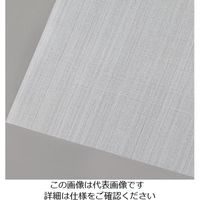 tantore PTFEメッシュ 100×100mm 目開き94μm #100-100 1枚 4-2355-01（直送品）