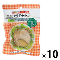 内野家 国産鶏 サラダチキン（長ネギ＆生姜） 100g 1セット（10個）