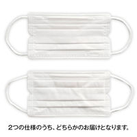 アイリスオーヤマ　ディスポーザブルマスク　ふつうサイズ　ホワイト　20PN-30PM　1箱（30枚入）（わけあり品）