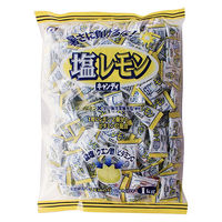 【アウトレット】桃太郎製菓 1kg 塩レモンキャンディ 1袋（1kg：約204粒入）