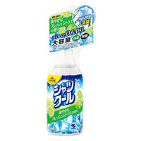 小林製薬 熱中対策 シャツクール 爽やかなフレッシュシトラスの香り 大容量 280mL 870494 1本