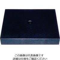 ノガ・ウォーターズ NOGA スチールプレート 100x80x15mm、M8ねじ穴付 LED0100 1個 207-0350（直送品）