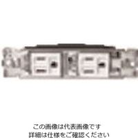 パナソニック Panasonic 器具用FC組合せ器具白接地ダブルコン WCF2066WK 1セット(10個) 159-5770（直送品）