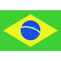 東京製旗 国旗No.1(70×105cm) ブラジル 416646 1枚 207-3727（直送品）
