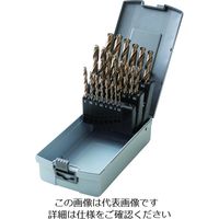 ビックツール BIC TOOL 月光ドリル 22本セット GK-22P 1セット 217-8416（直送品）