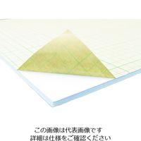 アクリサンデー 発泡スチレンボード HS-N100A2-5 1セット(5枚) 195-5406（直送品）