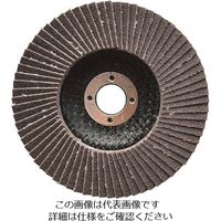 ボッシュ 研磨ディスク 100mm Vシリーズ バッグセット FD100VJ 1セット 135-0609（直送品）