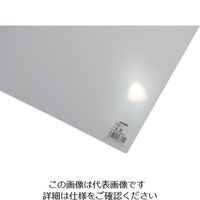 光 PP板 透明 P466-1 1枚 820-1875（直送品）