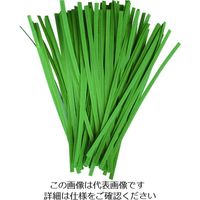 TRUSCO 園芸用ペーパータイ 幅4mm 緑 PVT