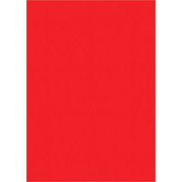 ササガワ タカ印 ケイコーポスター B5判 赤 厚口 13-3171 1セット（100枚：10枚×10袋）（取寄品）