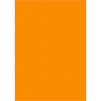ササガワ タカ印 ケイコーポスター B5判 橙 厚口 13-3174 1セット（100枚：10枚×10袋）（取寄品）