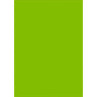 ササガワ タカ印 ケイコーポスター B5判 緑 厚口 13-3176 1セット（100枚：10枚×10袋）（取寄品）