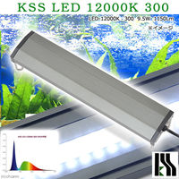 KSS LED 12000K 300 30～45cm水槽用照明 ライト 熱帯魚 338997 1個（直送品）