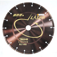 エビDMホイール鋳鉄 SLT305-2.5-30.5 SLT305 ロブテックス（直送品）