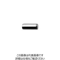 サンコーインダストリー S45C 平行ピン・B種・h7 6 X 10 D00001AB0060010000 1箱（300個）（直送品）