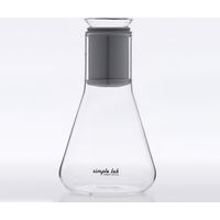 Simple Lab MIXO+ ミクソープラス ガラスティーインフューザー & シェイカー　500ml MX1701　1個（直送品）