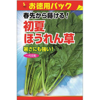 日本農産種苗 初夏ほうれん草（お徳用パック） 4960599185006 5袋（直送品）