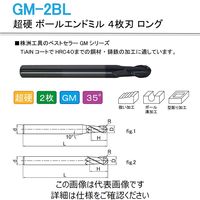 株洲工具 超硬 ボールエンドミル 2枚刃 ロング GM-2BL-R6.0 1セット（2本）（直送品）
