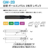 株洲工具 超硬 ボールエンドミル 2枚刃 レギュラ GM-2B-R1.5 1セット（5本）（直送品）
