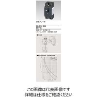 東芝ライテック 安全ブレーカ SB31H 20A 1個（直送品）