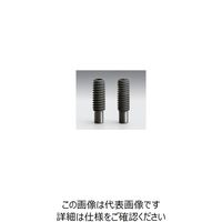 シグマ光機（SIGMAKOKI） 棒先止めネジ A14mm B10mm SC-8U-14UU 1セット（10個） 61-6965-26（直送品）