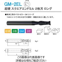 株洲工具 超硬 スクエアエンドミル 2枚刃 ロング GM-2EL