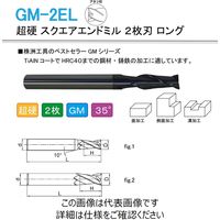 株洲工具 超硬 スクエアエンドミル 2枚刃 ロング GM-2EL-D3.0 1セット（5本）（直送品）