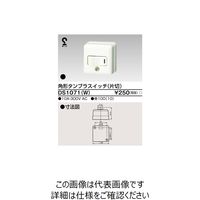 東芝ライテック 露出スイッチ DS1071(W) 1個（直送品）