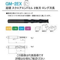 株洲工具 超硬 スクエアエンドミル 2枚刃 ロング刃長 GM-2EX-D10.0 1セット（2本）（直送品）