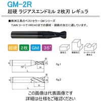 株洲工具 超硬 ラジアスエンドミル 2枚刃 レギュラ GM-2R