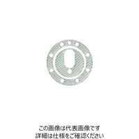 JP Moto-Martグラスシート・タンクキャップカバーBuell