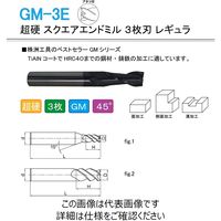 株洲工具 超硬 スクエアエンドミル 3枚刃 レギュラ GM-3E-D1.0 1セット（5本）（直送品）
