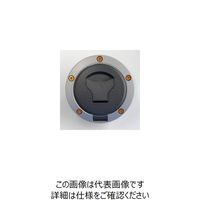 JP Moto-Mart タンクキャップボルトキット HONDA 5本用（21mm） ゴールド 1PC DBT001/21G（直送品）