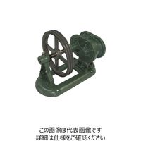 亀嶋鐵工所 NK ギヤーポンプ （単独ベース・横型） ME-1YV 11/2 1台 850-9721（直送品）