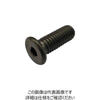 コノエ 極低頭六角穴付きボルト チタン M3x10 ULHCS-TI-310 1本 261-6188（直送品）