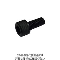 コノエ 六角穴付きボルト RENY M5×10 黒色 CS-RENY-BK-510 1セット(20本) 255-7311（直送品）