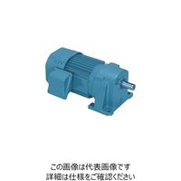 シグマー技研 シグマー 三相SG-P1ギアモーター 出力0.4Kw 減速比1/100 TML2-04-100 1台 848-4712（直送品）