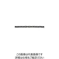 ニッサチェイン 鉄カラーリンクU 15m巻 黒 R-IU216NE-BK 1巻(15m) 128-0315（直送品）