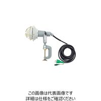 日動工業 日動 エコビックLED投光器20W 昼白色 E付 【PN電線】