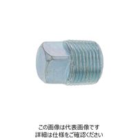 SUNCO 生地 プラグ（4角頭（TKS R 1” （25本入） A0-00-572T-8100-0000-00 242-6758（直送品）