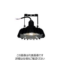 日立グローバルライフソリューションズ 日立 高天井用LEDランプ アームタイプ 一般形 BME21CMNC1 1台 256-1698（直送品）