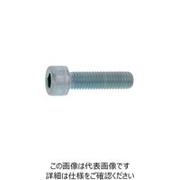 SUNCO アロック ステンCAP(日星精工 10 X 45 (50本入) A0-02-000C-0100-0450-R0 1箱(50本)（直送品）