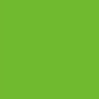 アルテ ニューカラーボード　蛍光グリーン　５ｍｍ厚　３Ｘ６判　素板　ＢＰー５ＣＢー３Ｘ６ーＦＧ　バラ売り 066401 1枚（直送品）
