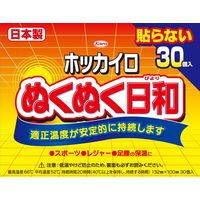 興和新薬 ホッカイロ ぬくぬく日和 貼らない レギュラー 30個入 4987067829309 30個入×8点セット（直送品）