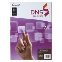 伊東屋 ＤＮＳ　ｐｒｅｍｉｕｍＡ４　２５０ｇ DNS105 5冊（直送品）