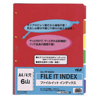 テージー ファイルイット　インデックス FCIN-4406 1セット（10パック）